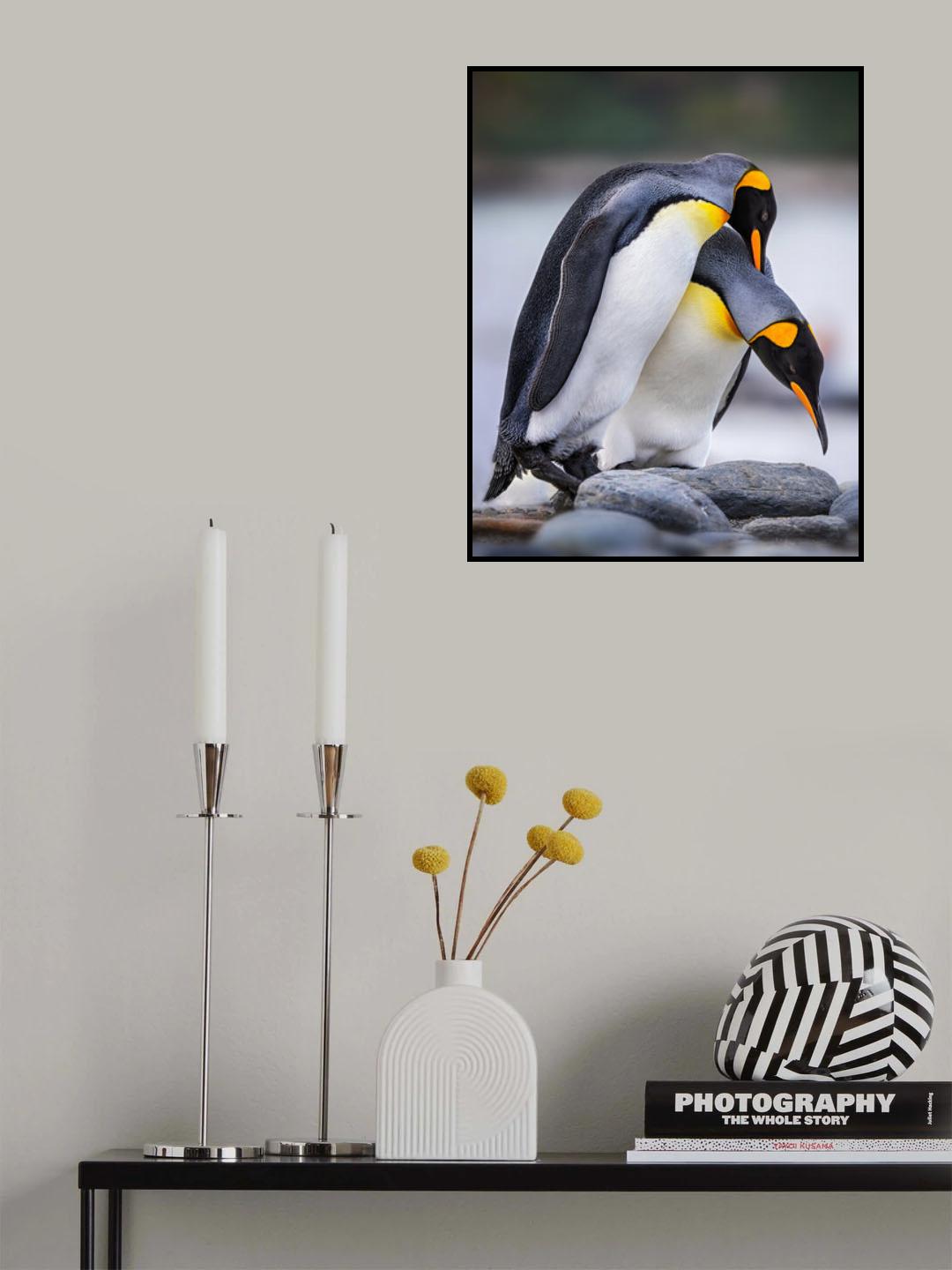 Expression of love Poster och Canvastavla