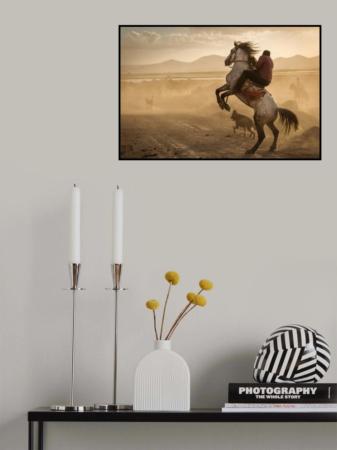 Dealing with wild horses of Cappadocia Poster och Canvastavla