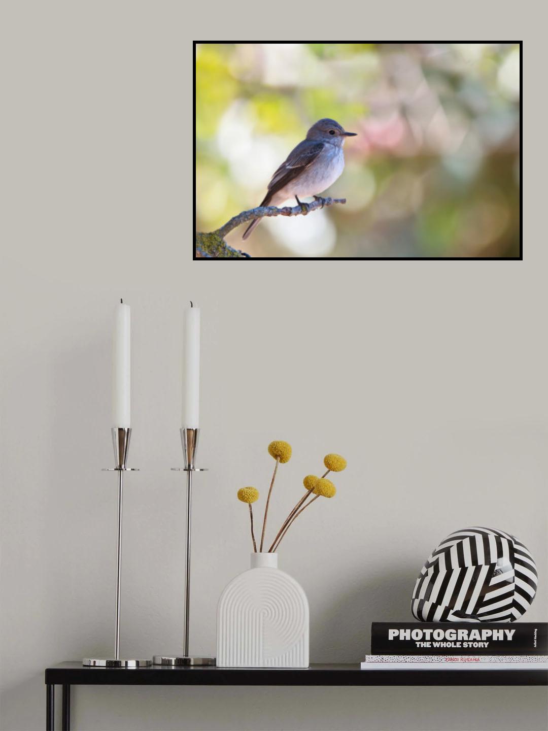 Spotted Flycatcher Poster och Canvastavla