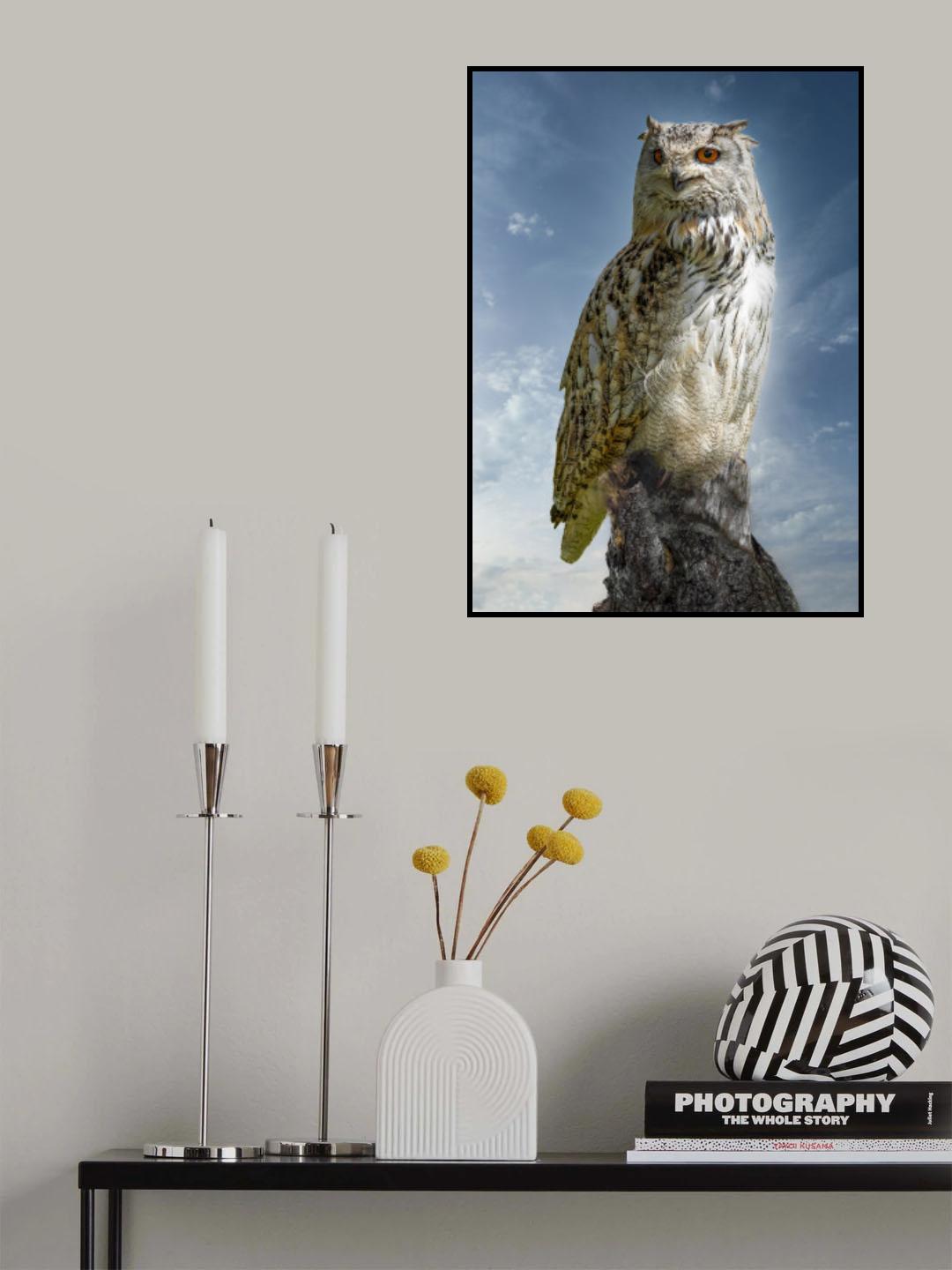 The Owl. Poster och Canvastavla