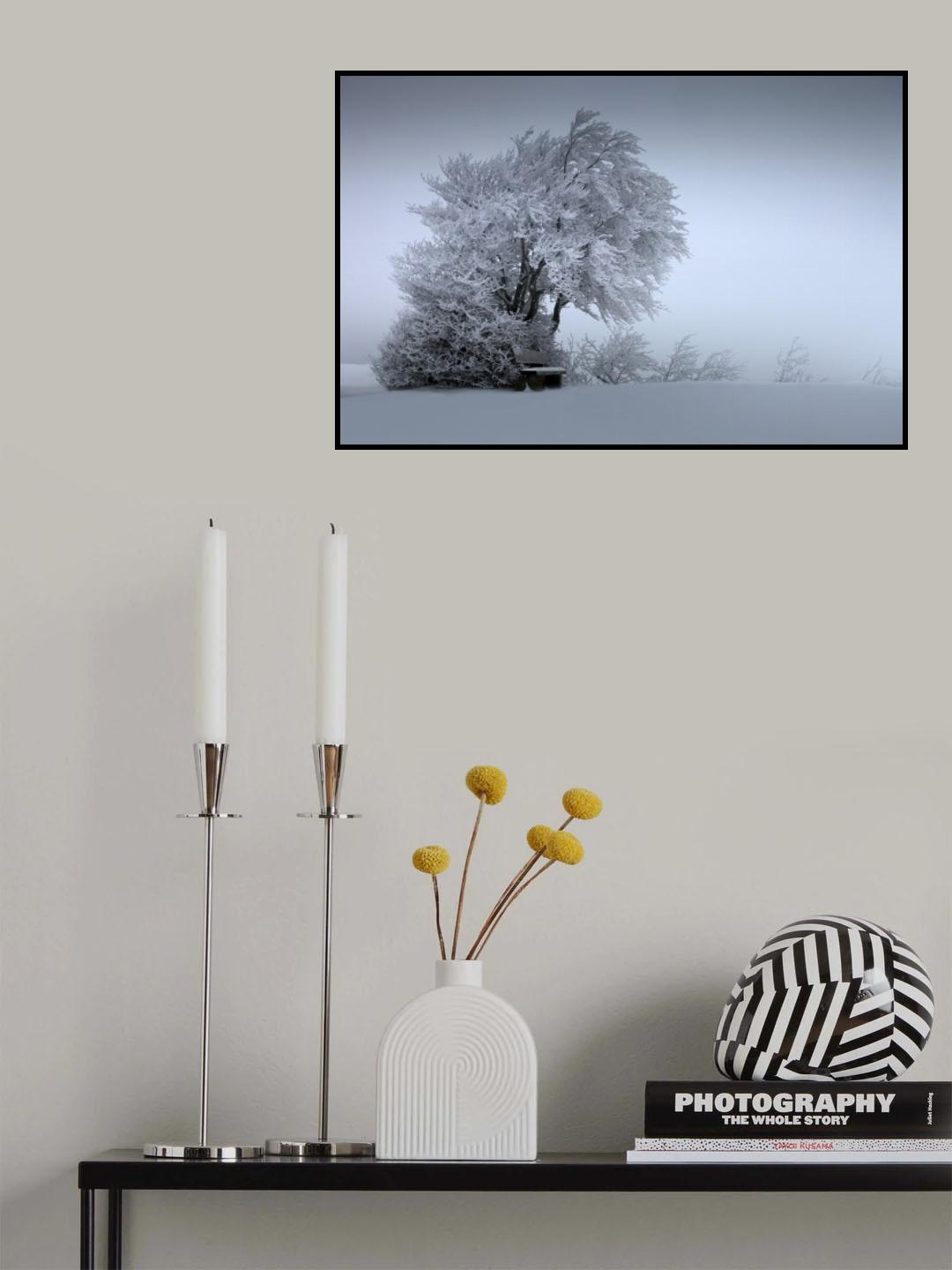 SNOW BANK Poster och Canvastavla