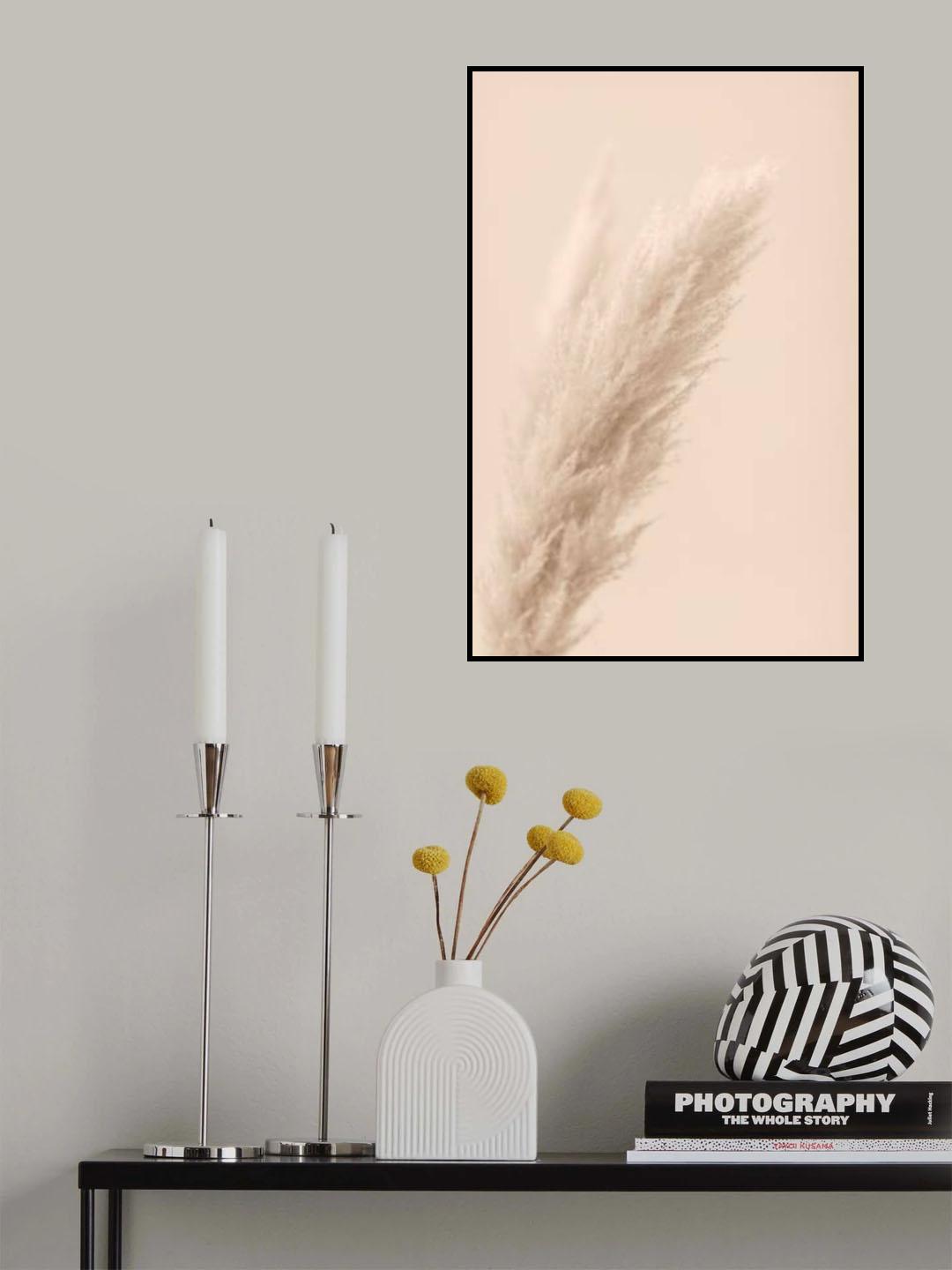 Pampas Grass Beige 07 Poster och Canvastavla