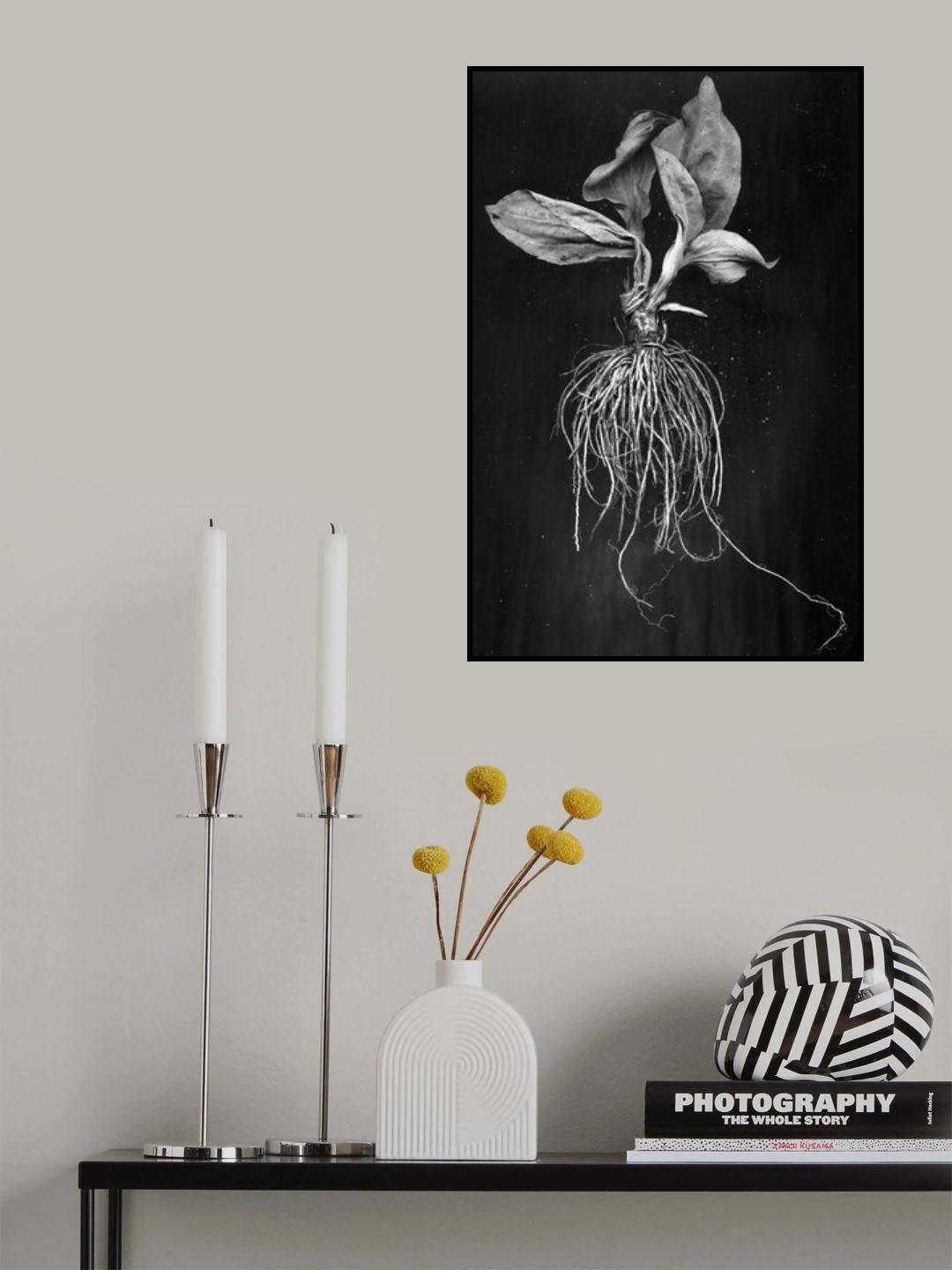 Plantain Poster och Canvastavla