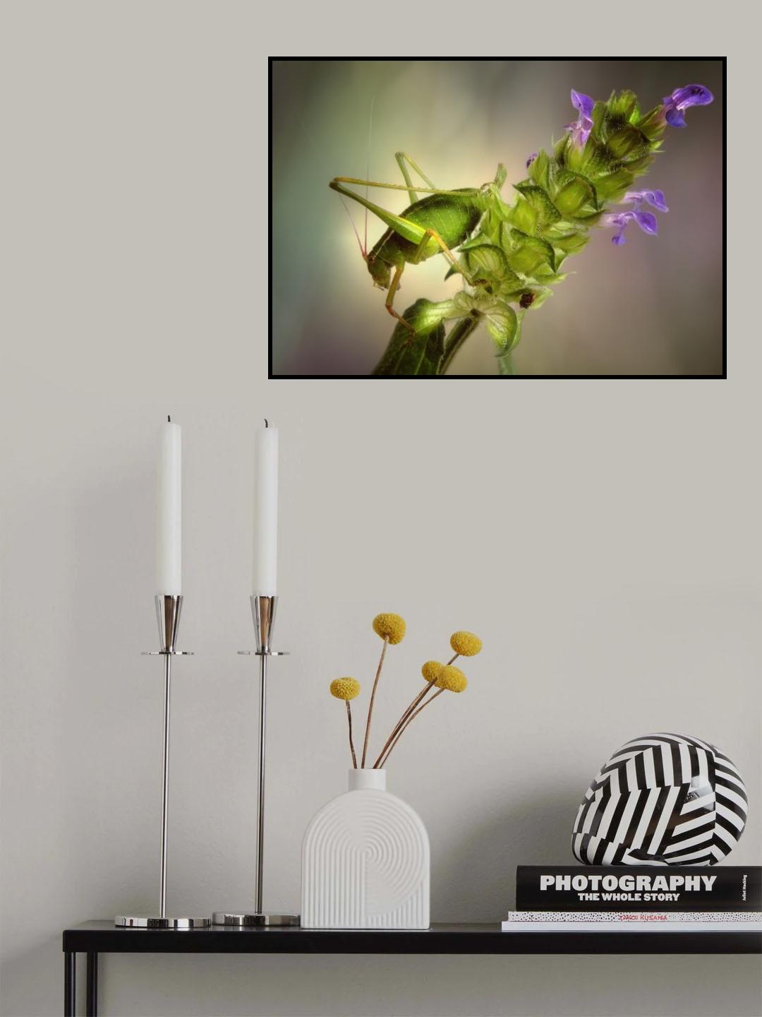 Katydid Poster och Canvastavla