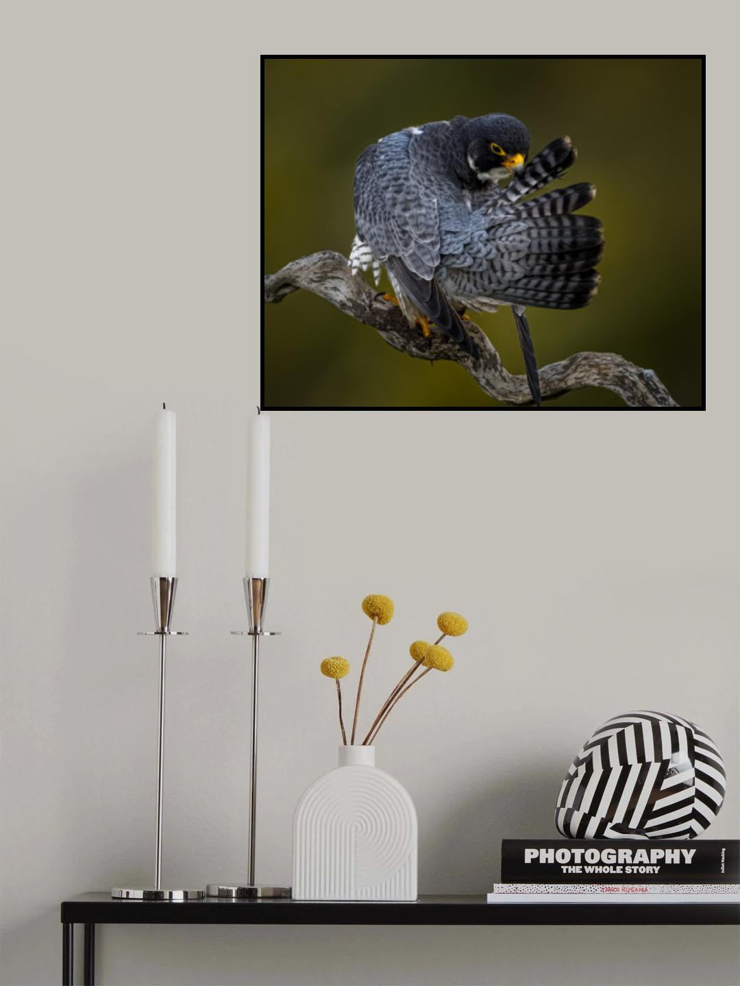 Preening Poster och Canvastavla