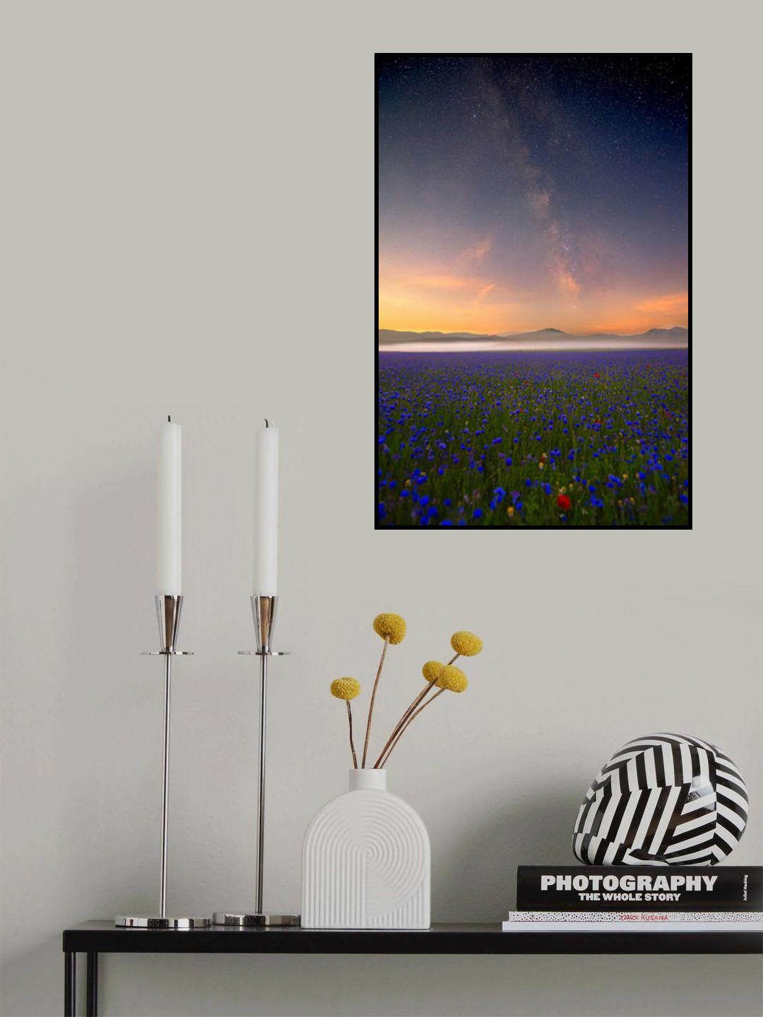 Night flowers Poster och Canvastavla