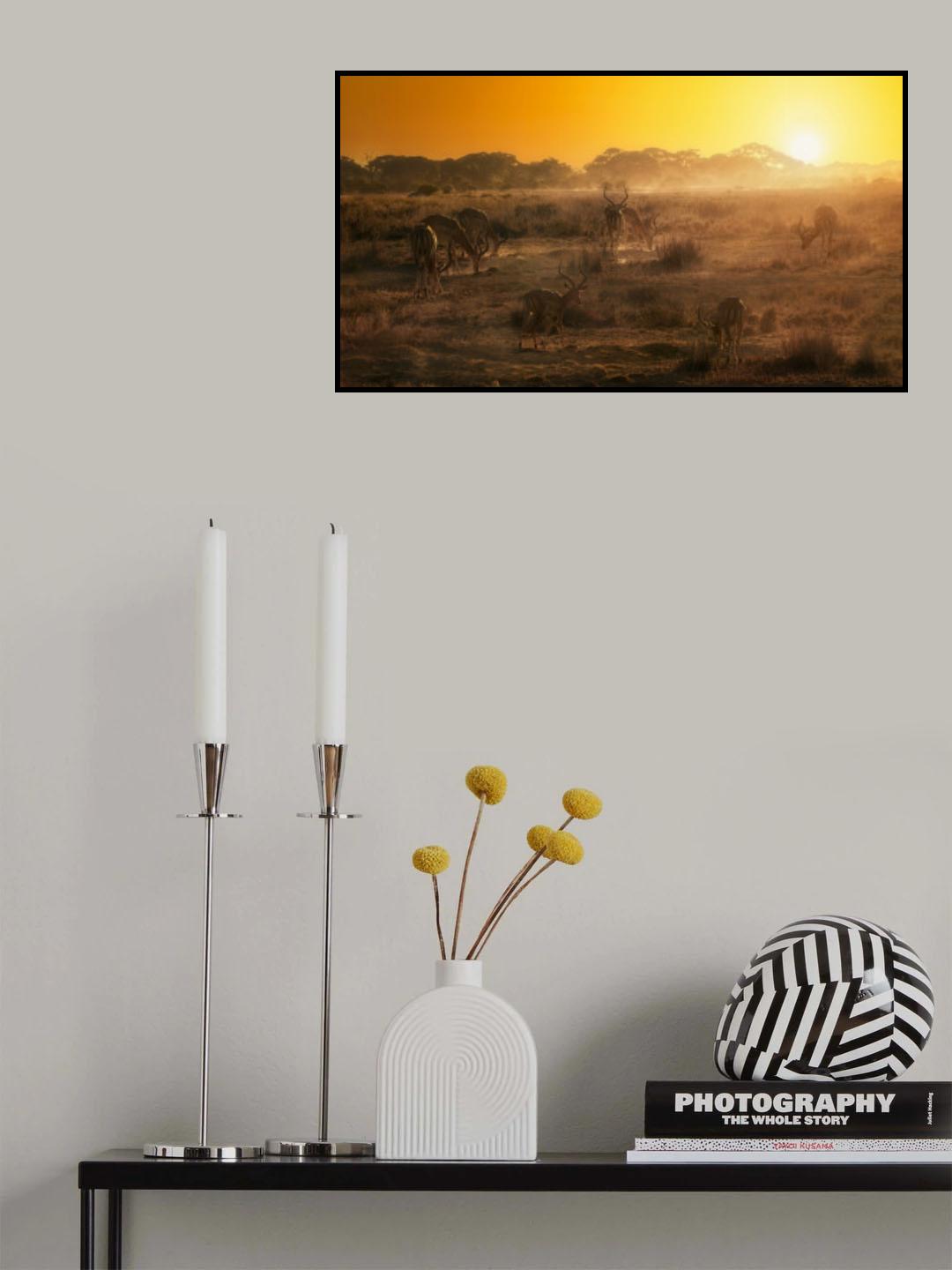 African atmosphere at sunset A734493 Poster och Canvastavla