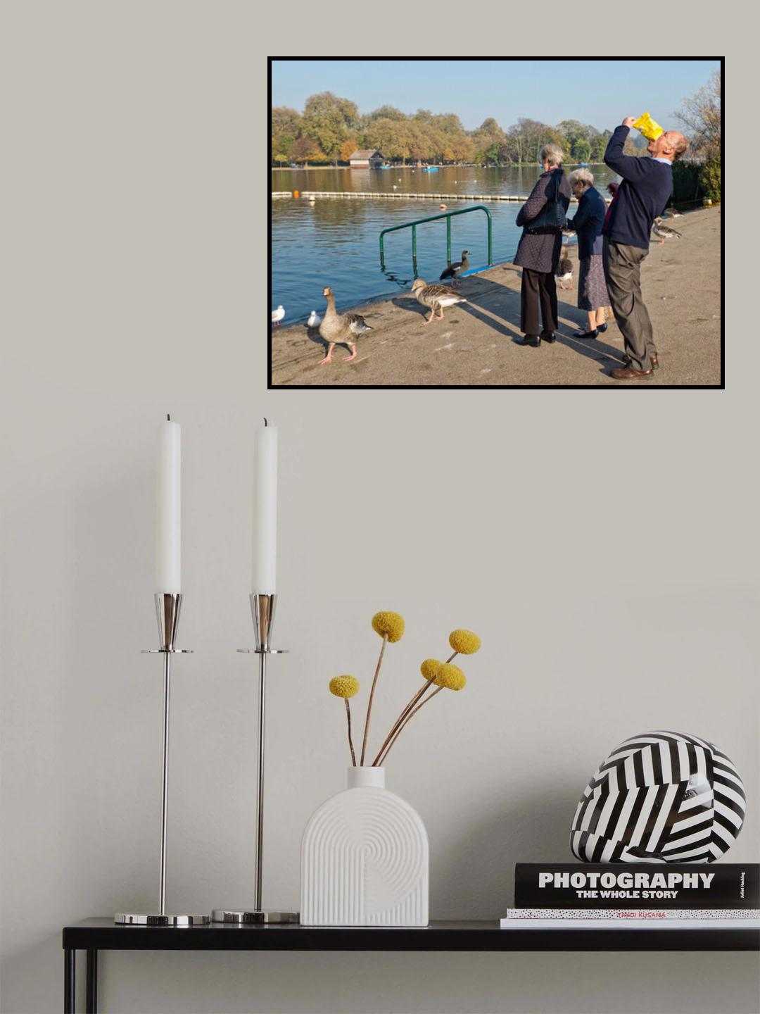 The duck feeders Poster och Canvastavla