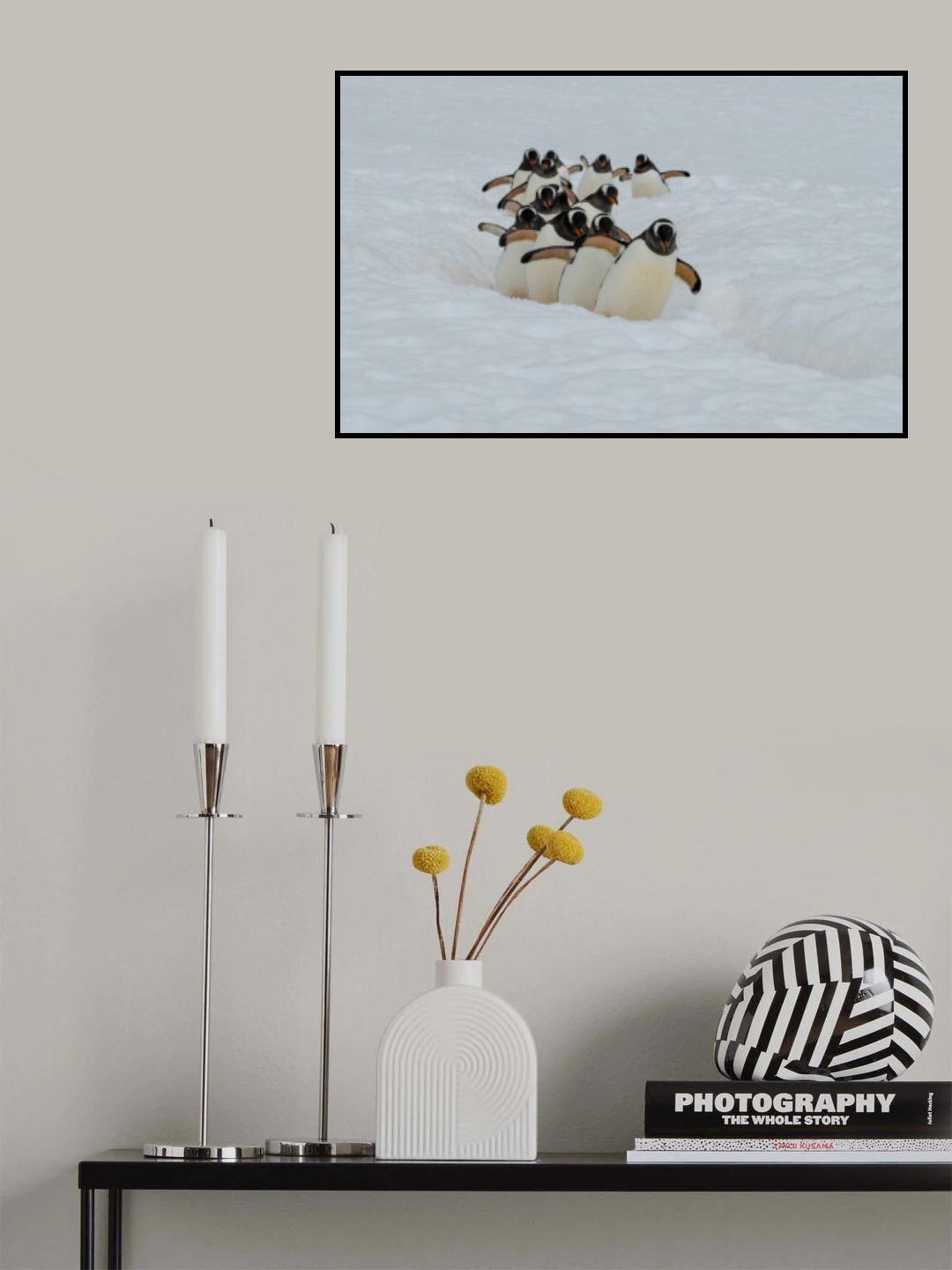 Follow the guide Poster och Canvastavla