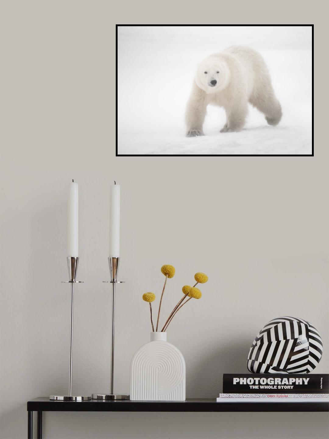 White into the white Poster och Canvastavla
