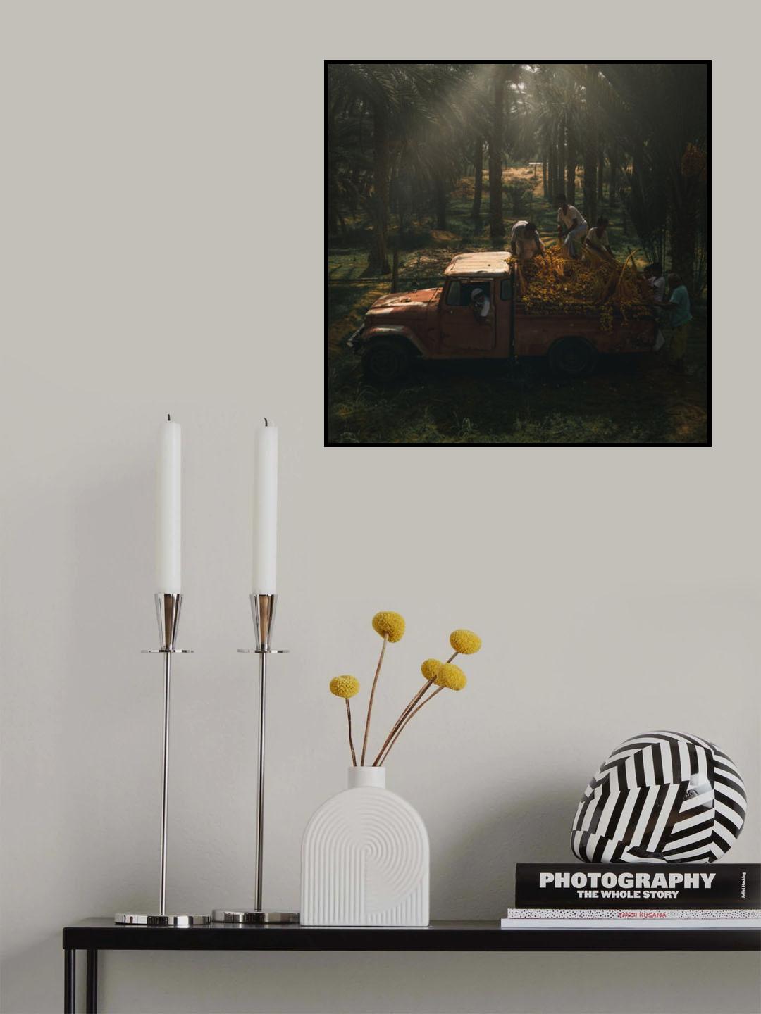 Date Harvest Season Poster och Canvastavla