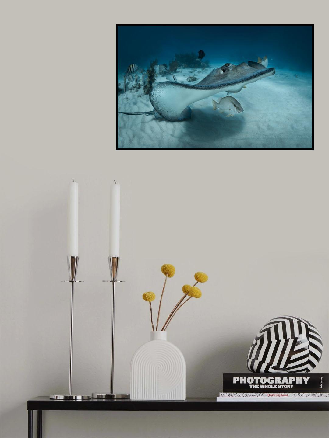 Umbrella Poster och Canvastavla