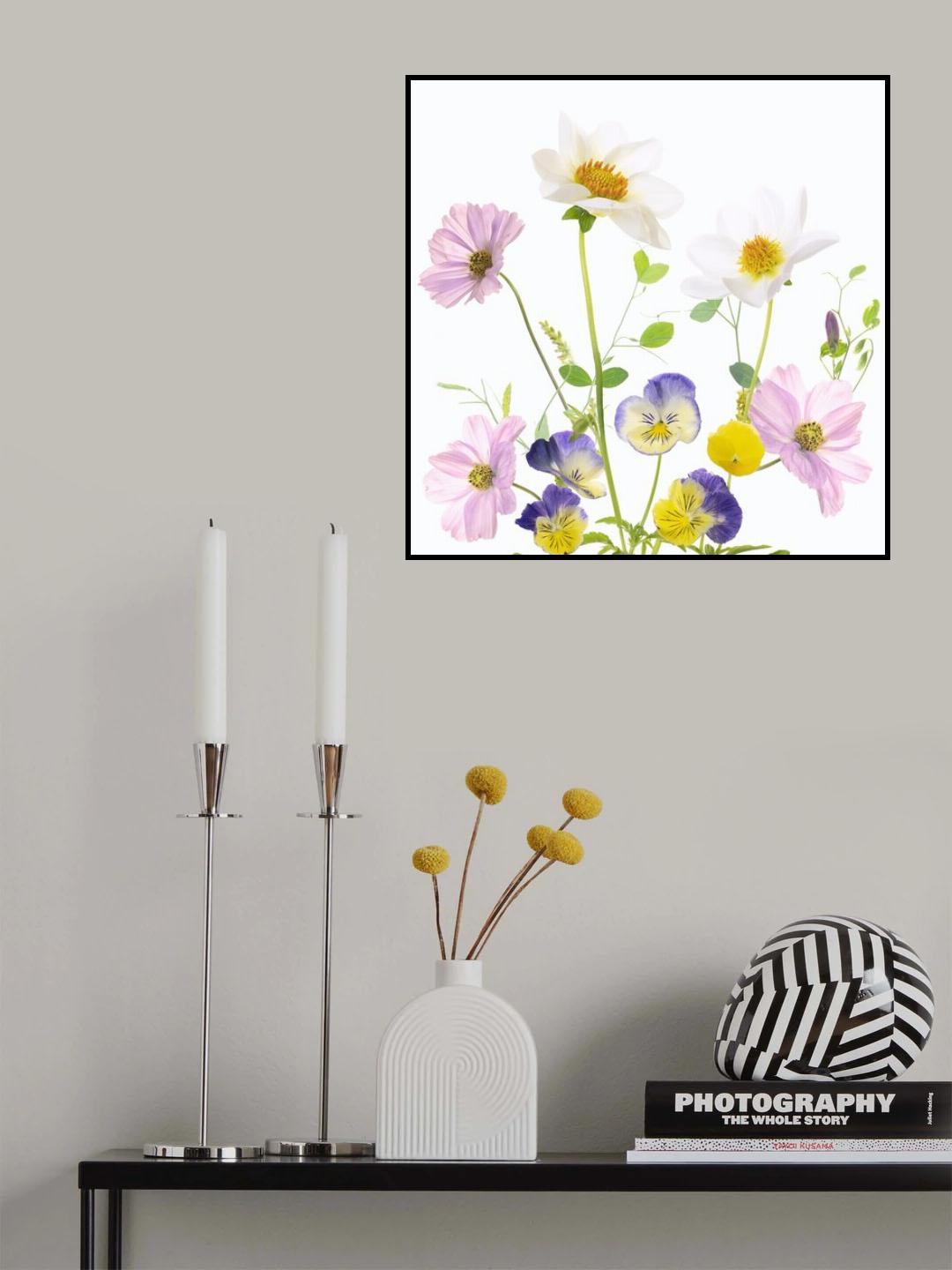 Late Summer Poster och Canvastavla