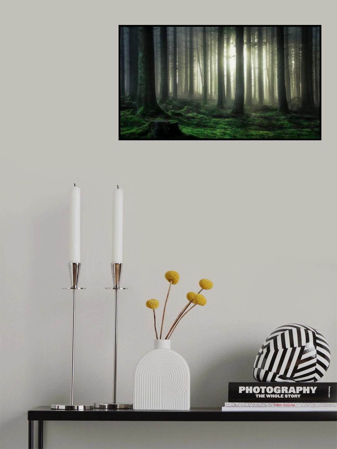 mystic forest Poster och Canvastavla