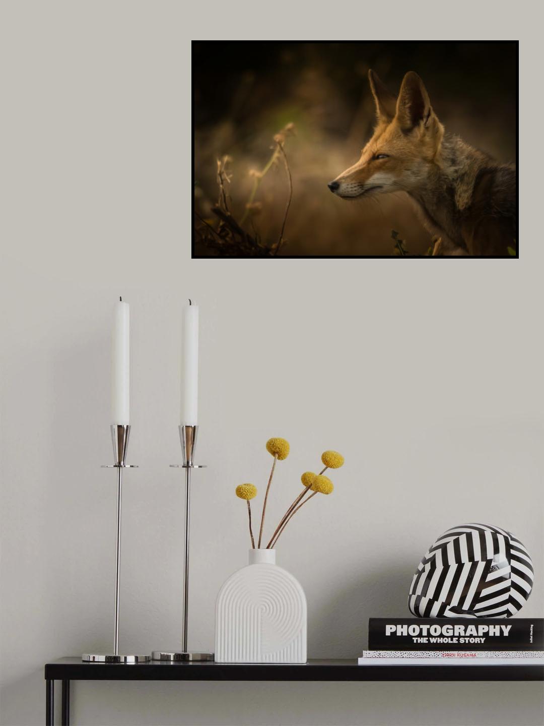 Encounter on sunrise Poster och Canvastavla
