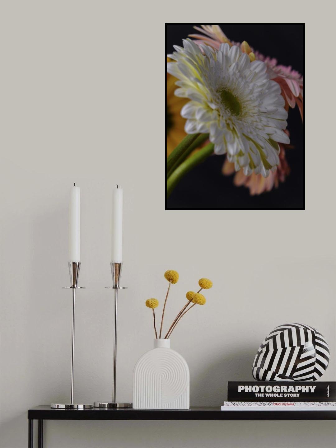 beautiful flowers Poster och Canvastavla