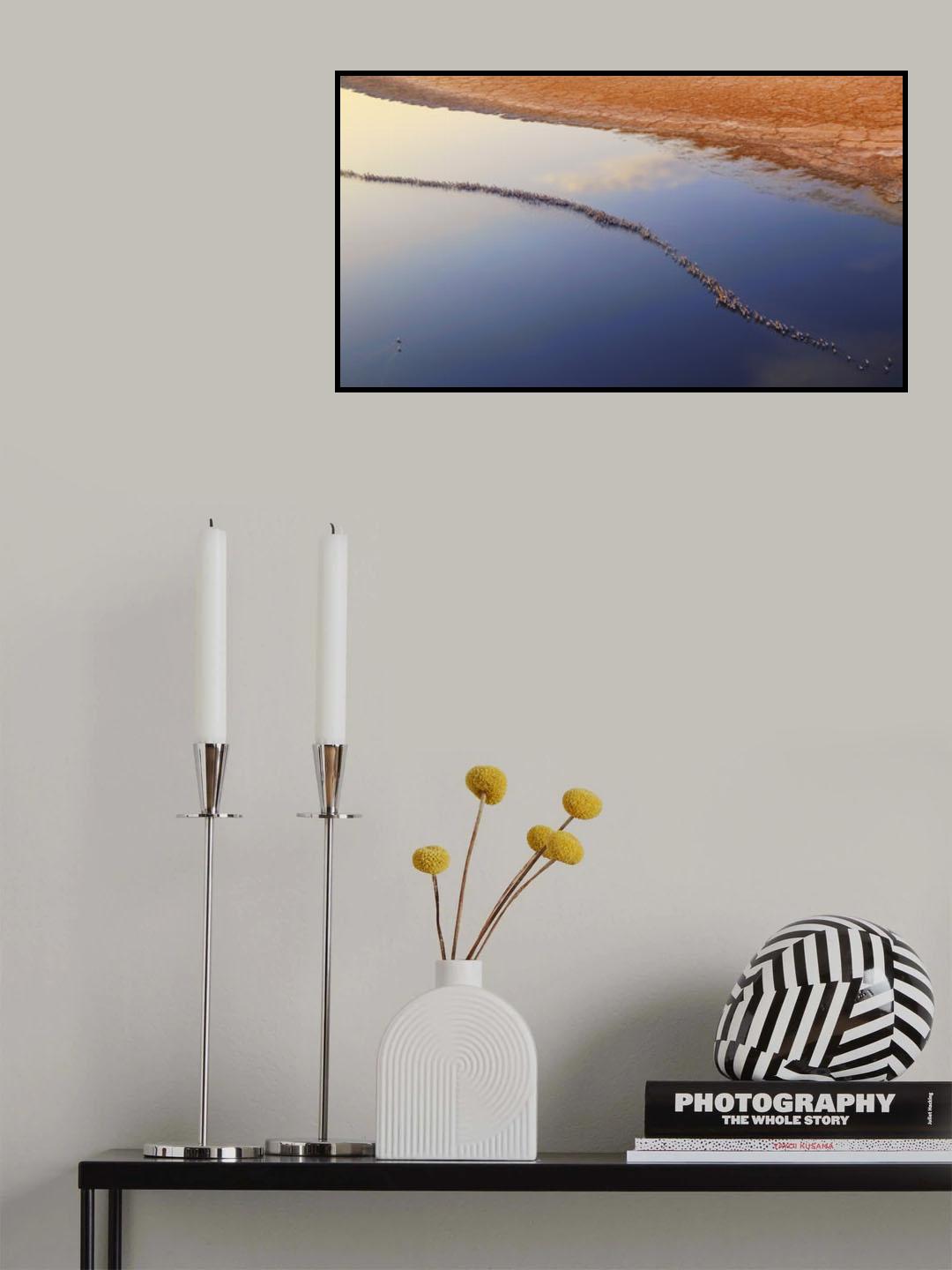 I can not fly Poster och Canvastavla