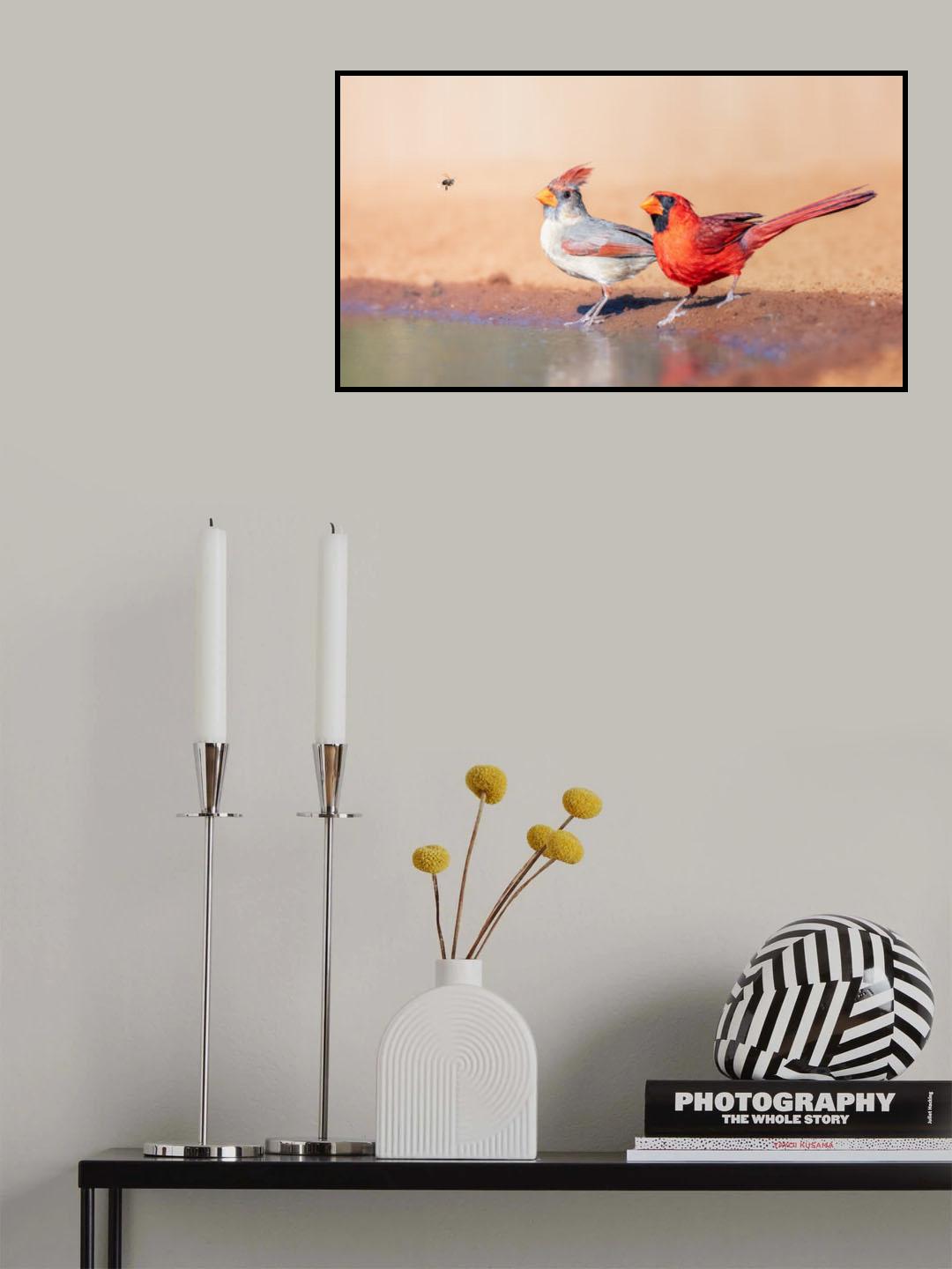 A bee and 2 Cardinals Poster och Canvastavla