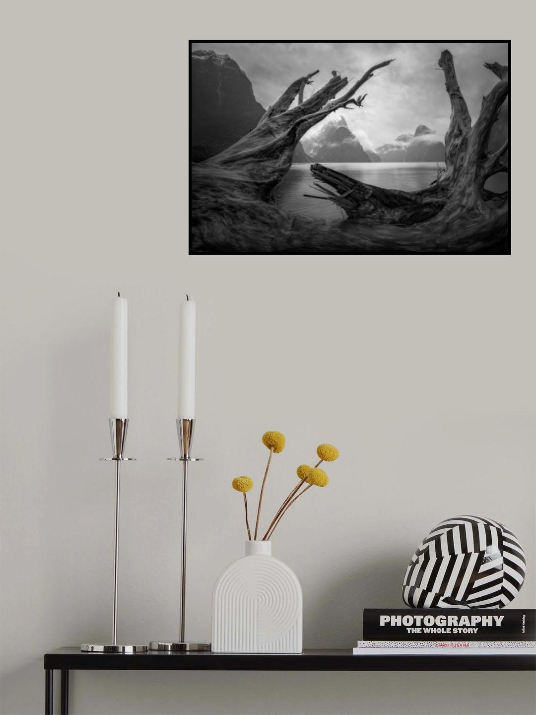 Milford Sound Poster och Canvastavla