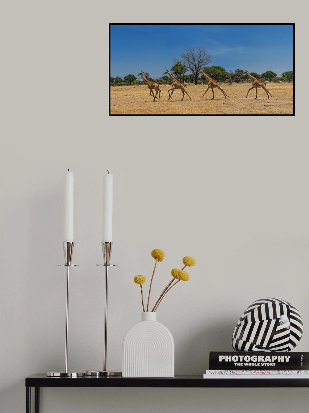 wild and free Poster och Canvastavla