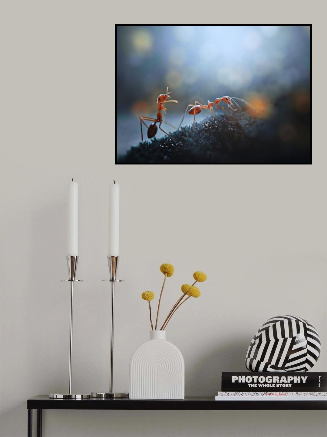 FRIEND Poster och Canvastavla