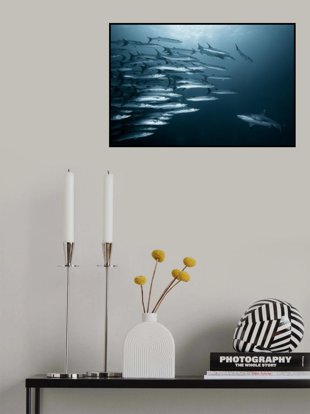 Oppositin Poster och Canvastavla