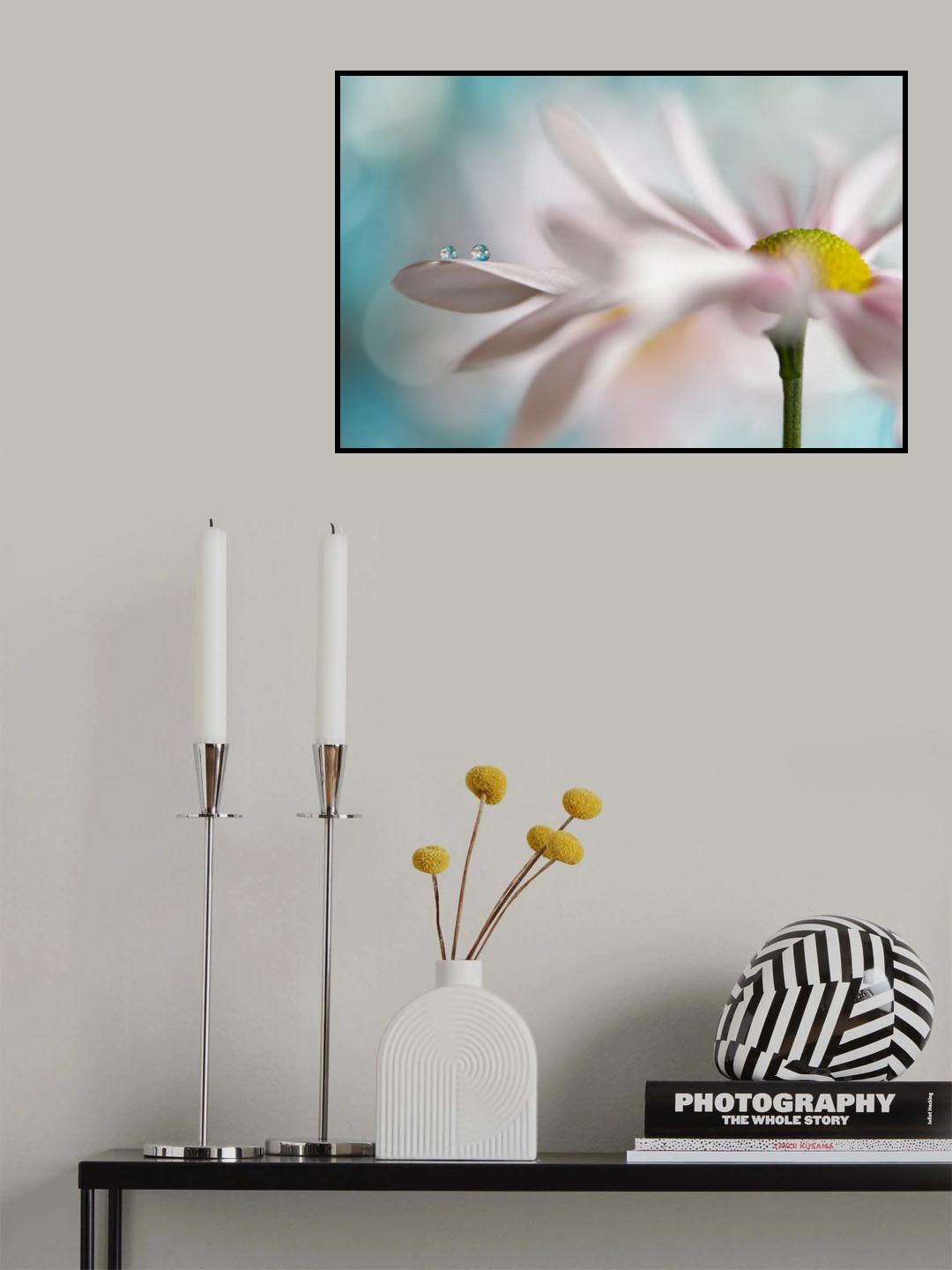Tiny duo Poster och Canvastavla