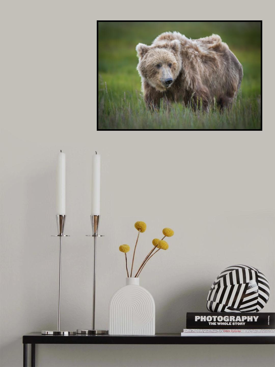 Teddy Bear Poster och Canvastavla