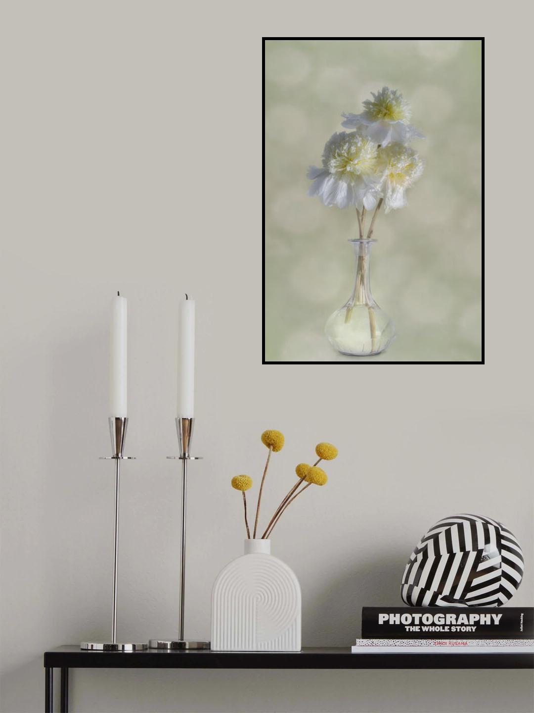 Peonies Poster och Canvastavla