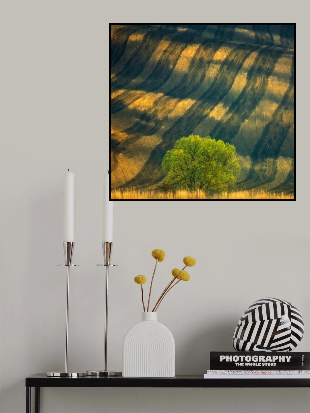 Tree ... Poster och Canvastavla