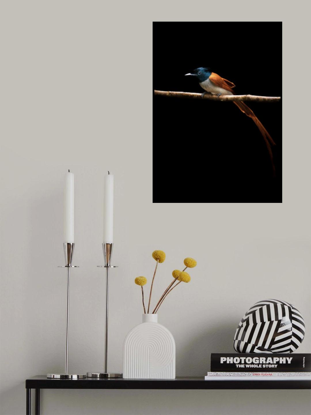 Play of light Poster och Canvastavla