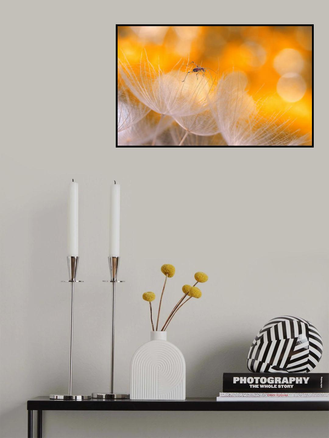 Fragility and lightness... Poster och Canvastavla