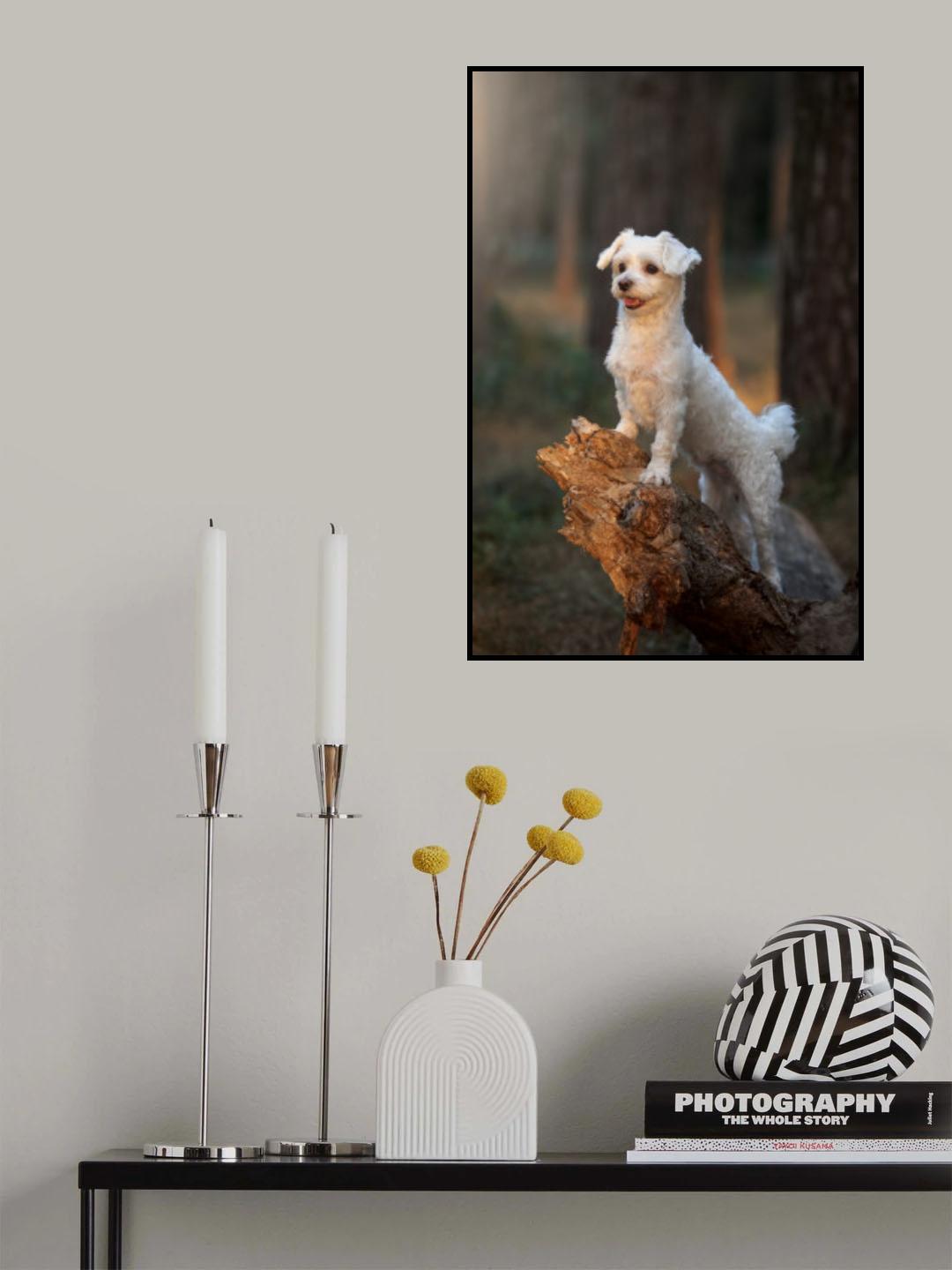 Hunter )) Poster och Canvastavla