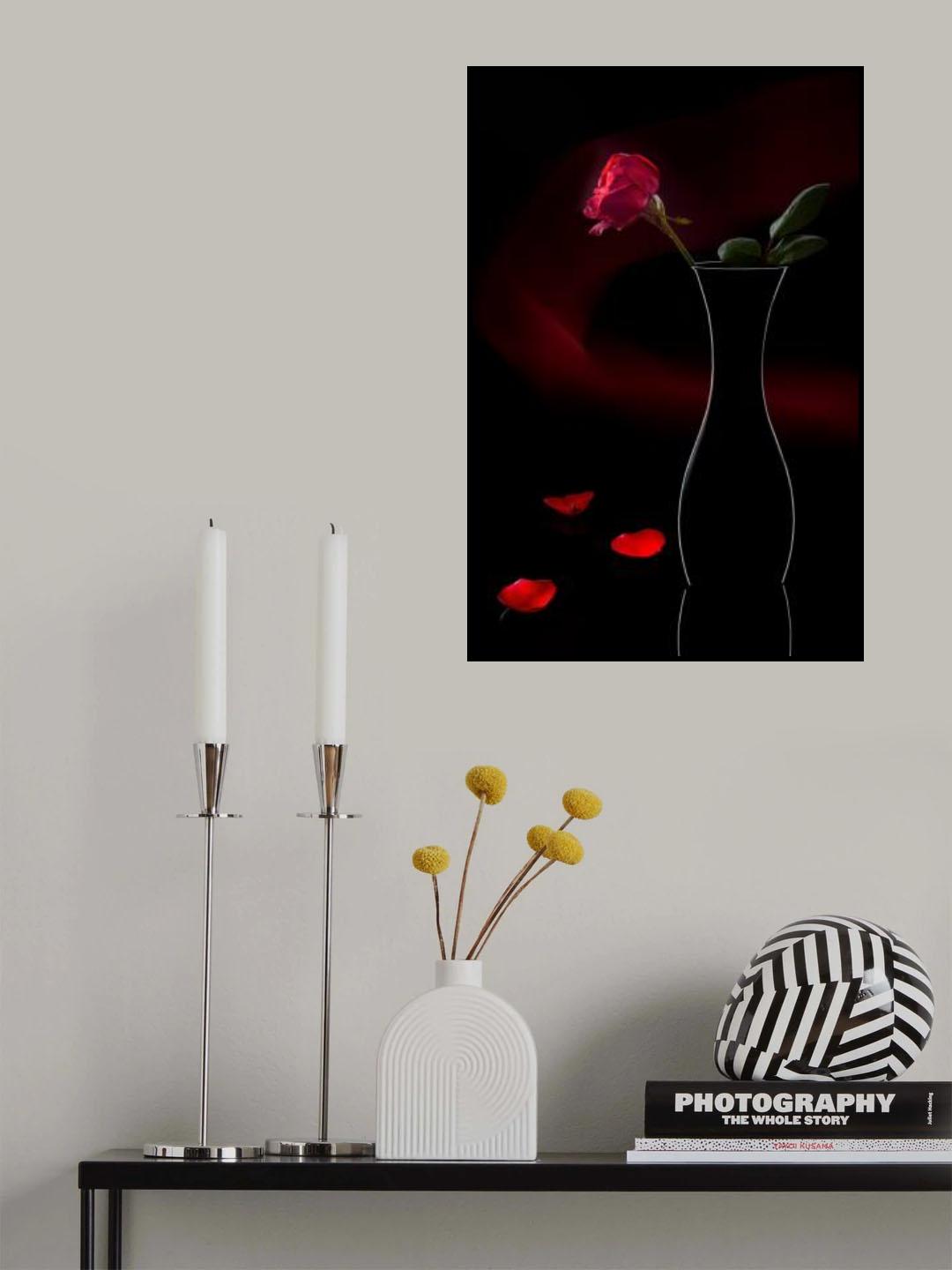 Red Rose with red wave in the background Poster och Canvastavla