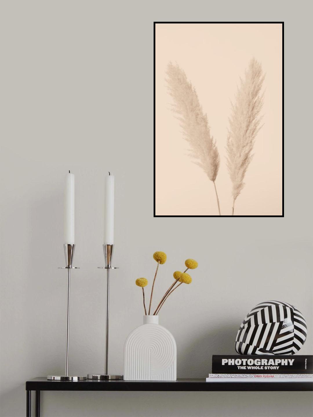 Pampas Grass Beige 01 Poster och Canvastavla