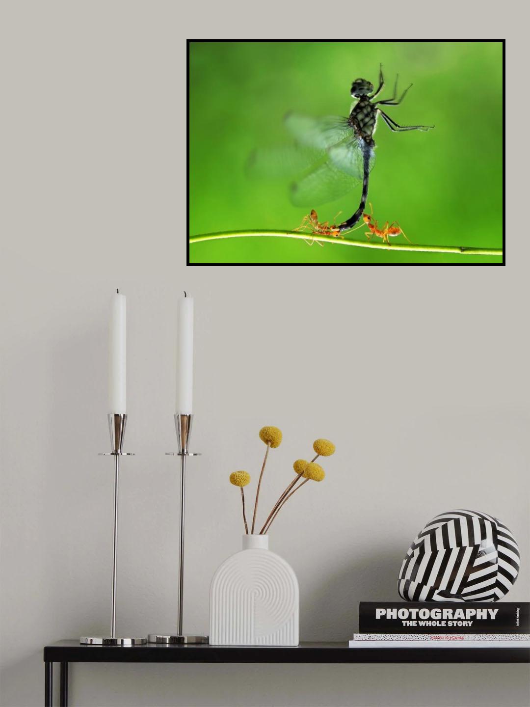 Want to fly Poster och Canvastavla