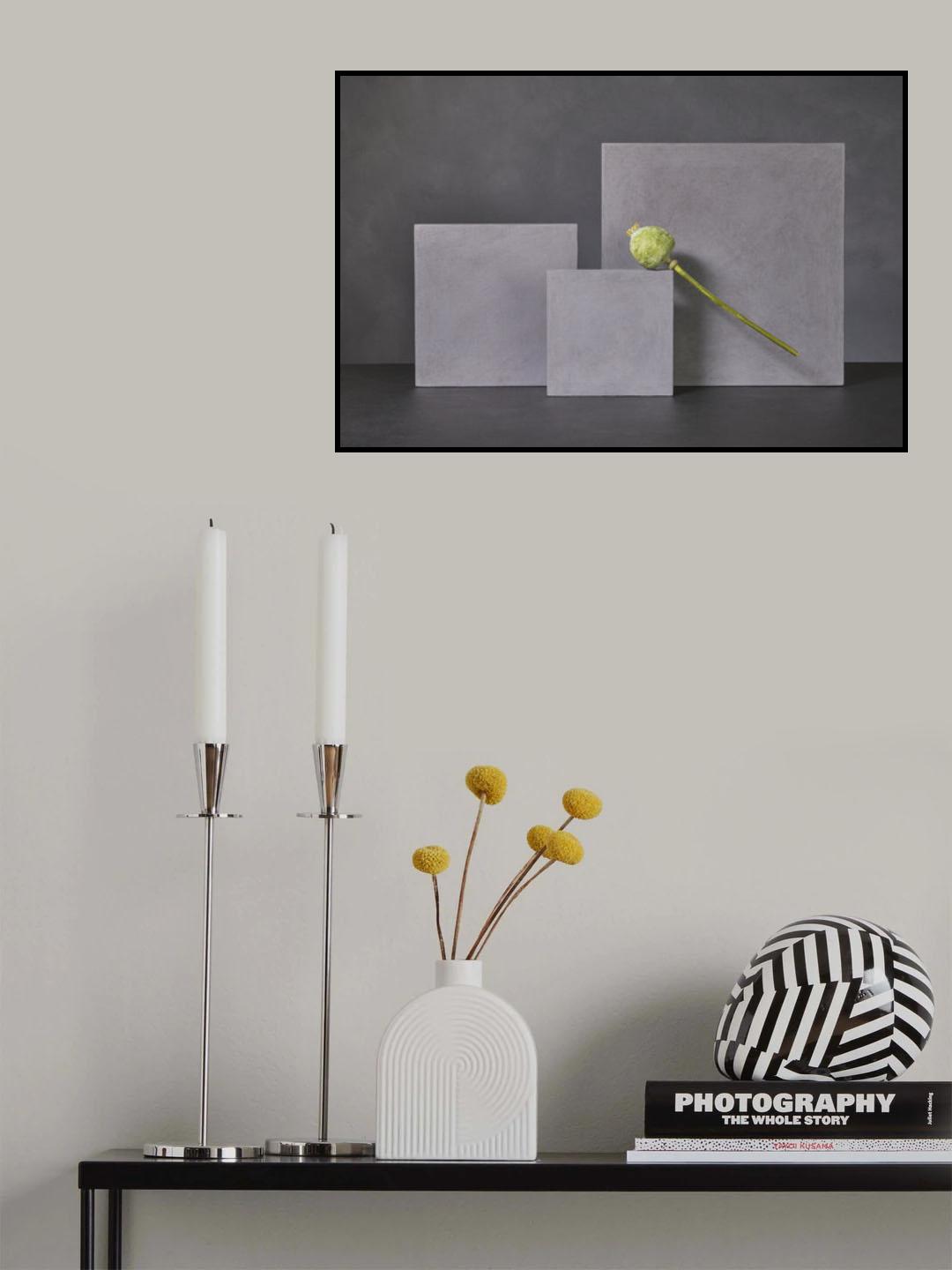 Poppy Poster och Canvastavla