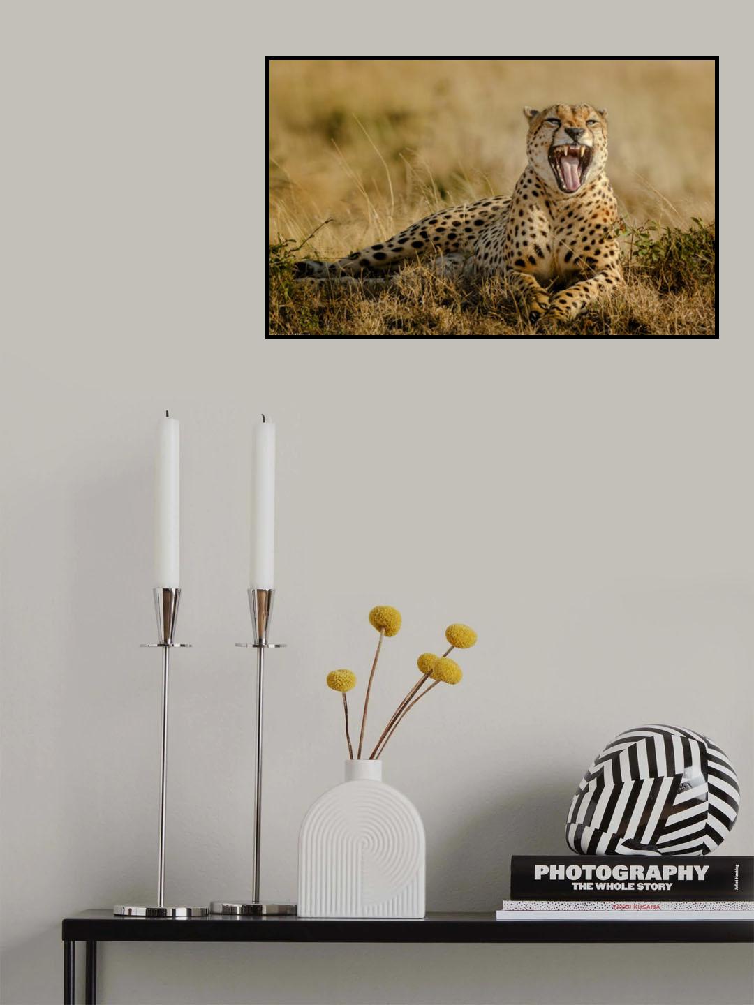 Grumpy Morning Poster och Canvastavla