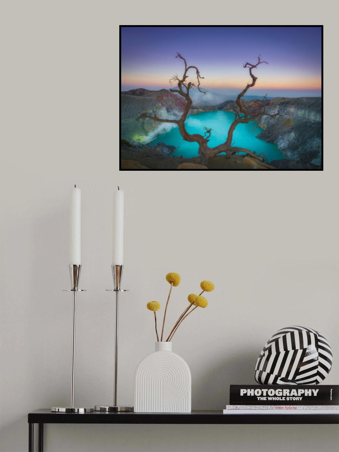 Survivor Poster och Canvastavla