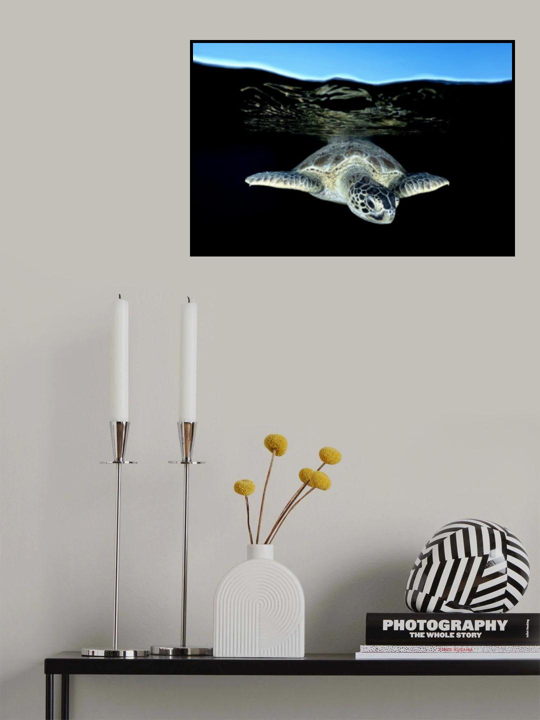 Surface Poster och Canvastavla