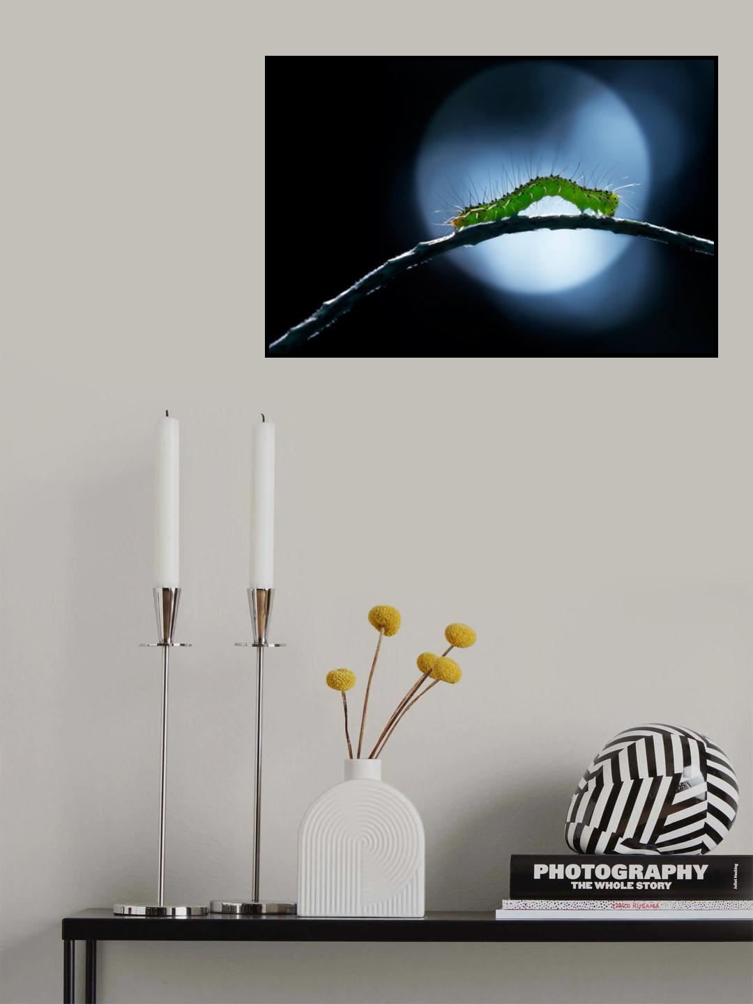 Curving Night Walk Poster och Canvastavla
