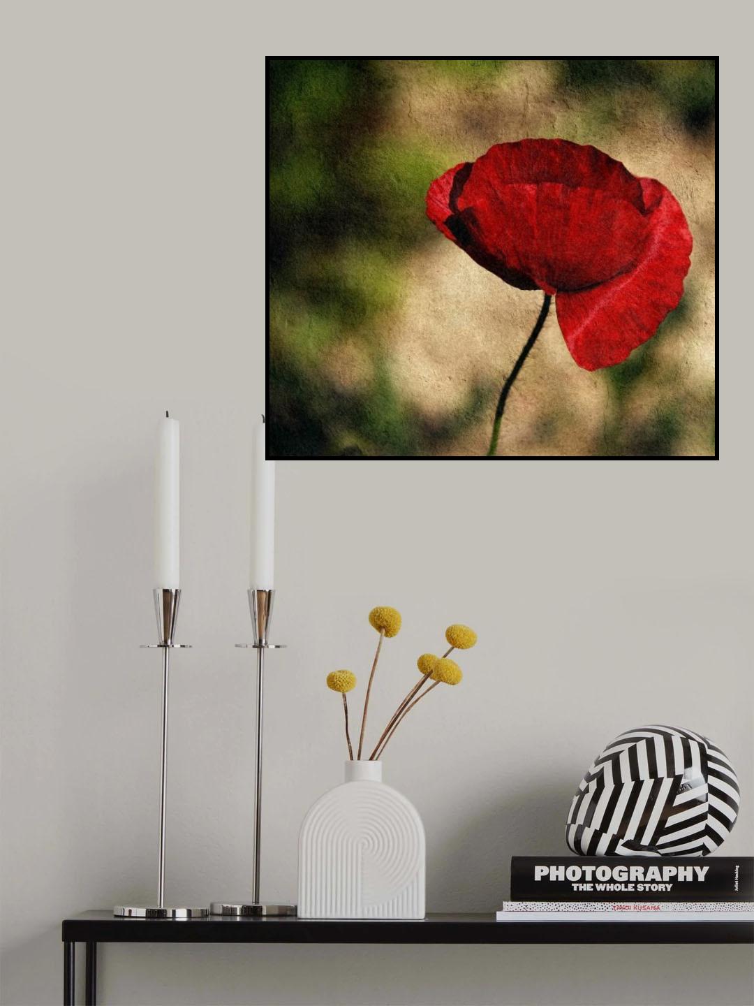 on my wall Poster och Canvastavla