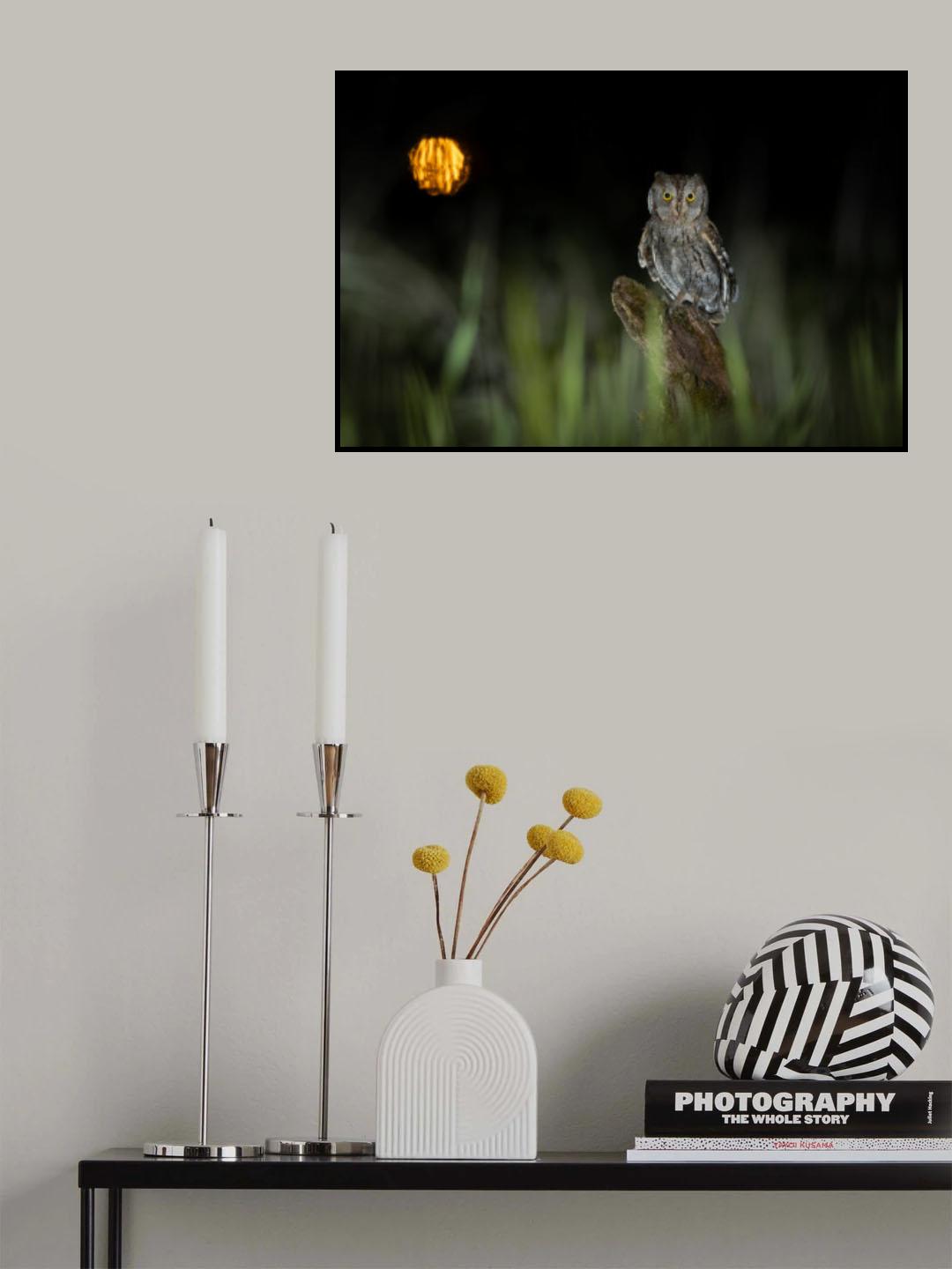 Look at me Poster och Canvastavla
