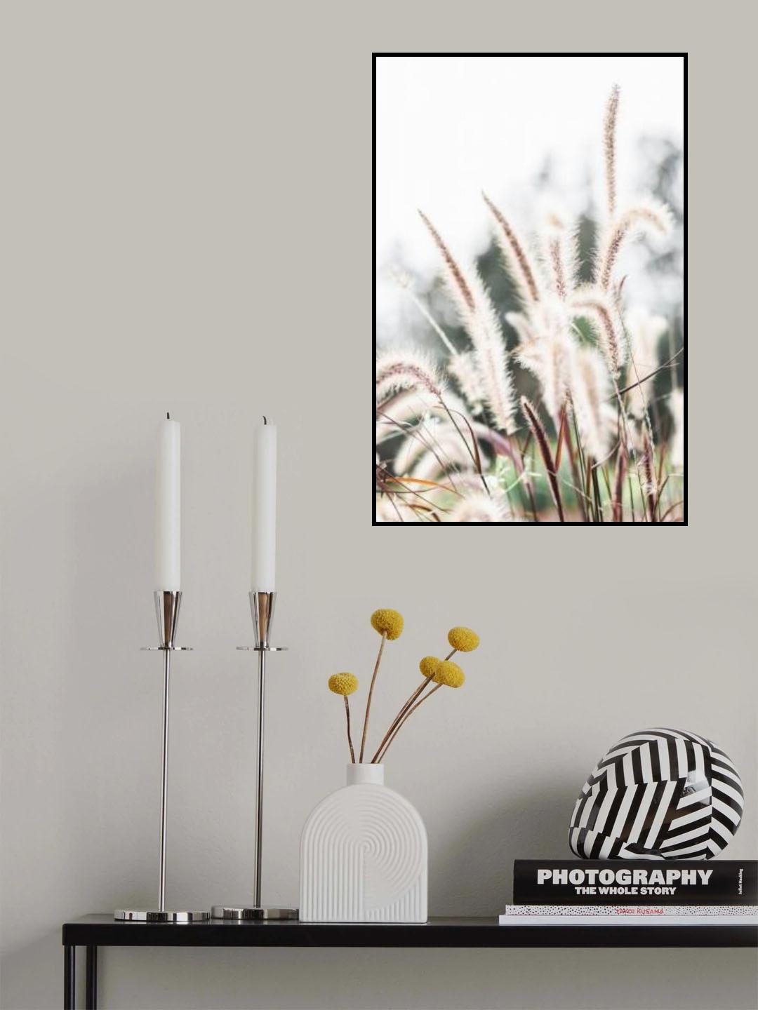 Grass Poster och Canvastavla