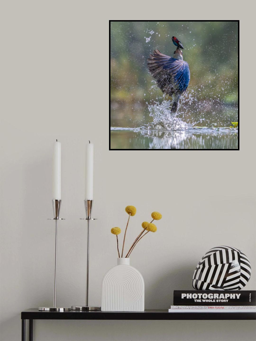 The Winner Poster och Canvastavla