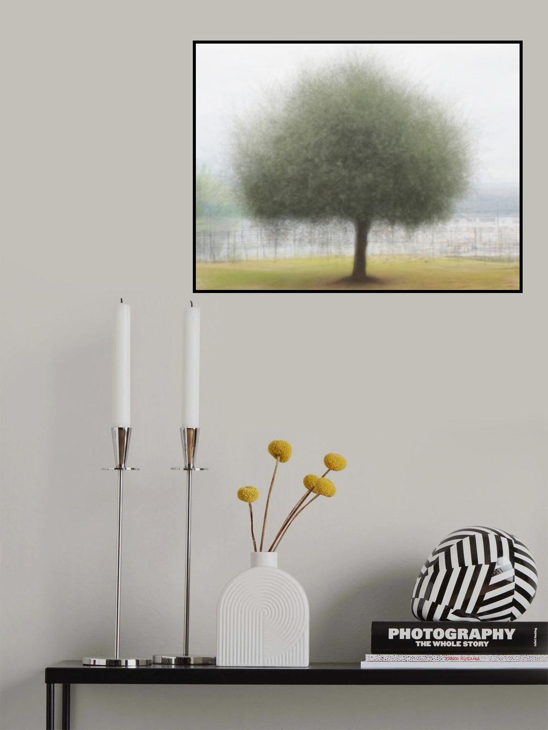 Tree in Croatia Poster och Canvastavla