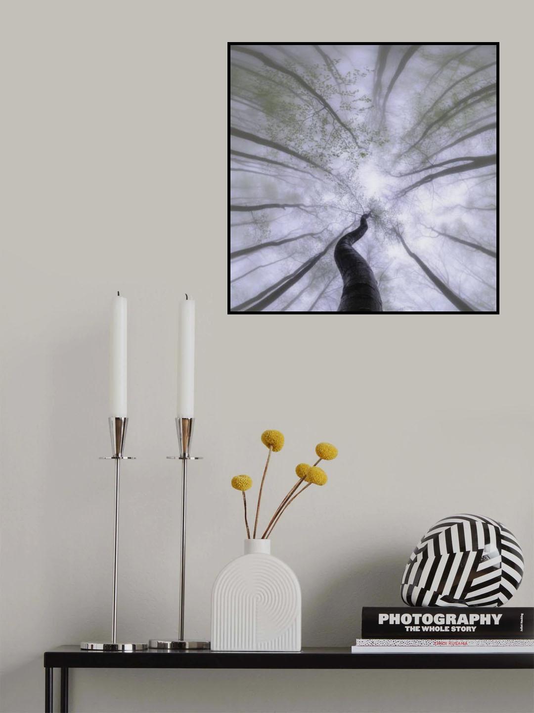 Springtime Poster och Canvastavla