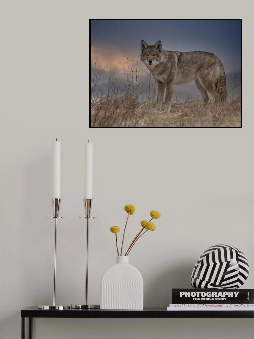 Confrontation! Poster och Canvastavla
