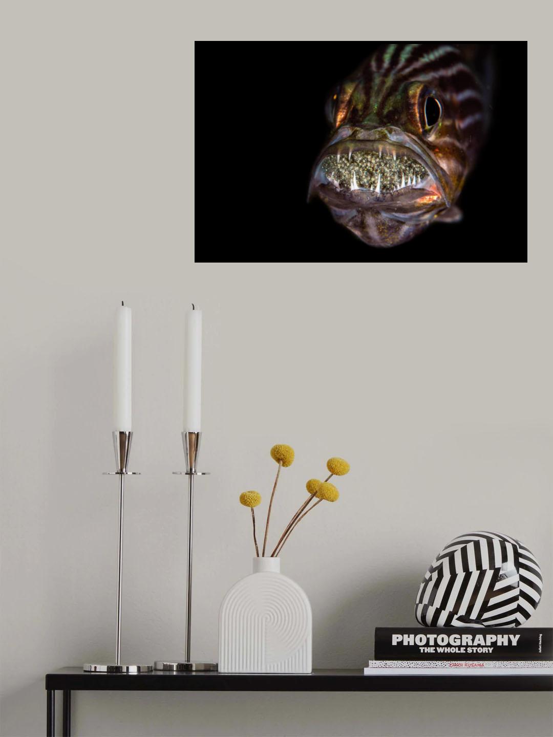 Before the born (mama and it's eggs) Poster och Canvastavla
