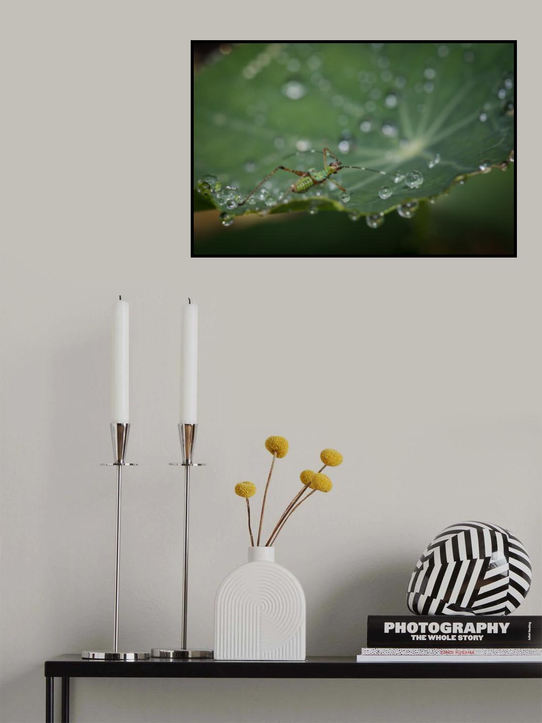 Bubble Bath Poster och Canvastavla